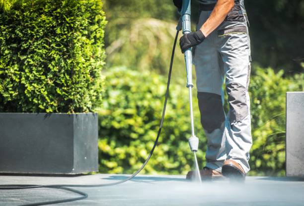 Animal Enclosure Cleaning in Keewatin, MN