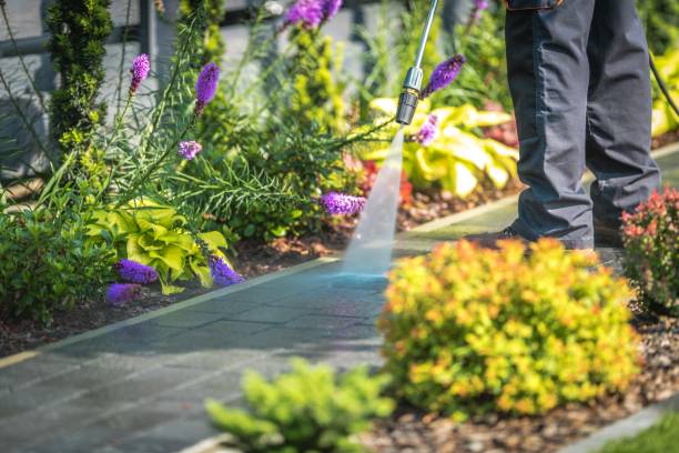 Best Boat and Dock Cleaning  in Keewatin, MN